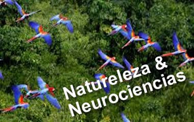 Naturaleza & Neurociencias