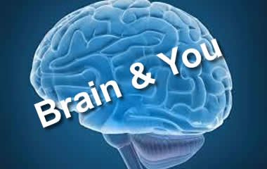 Brain & You