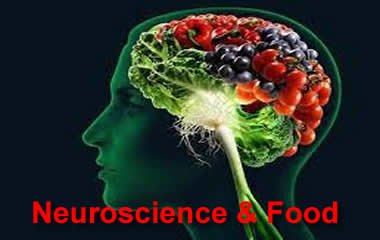 Neuroscience & Food