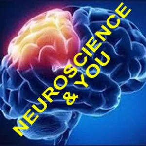 EL CEREBRO ESENCIAL